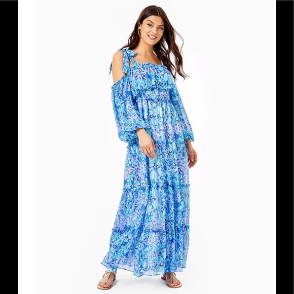 Lilly Pulitzer Dresses & Skirts - NWT Lilly Pulitzer Leena maxi dress sz M